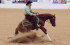 arabian reining horse for sale