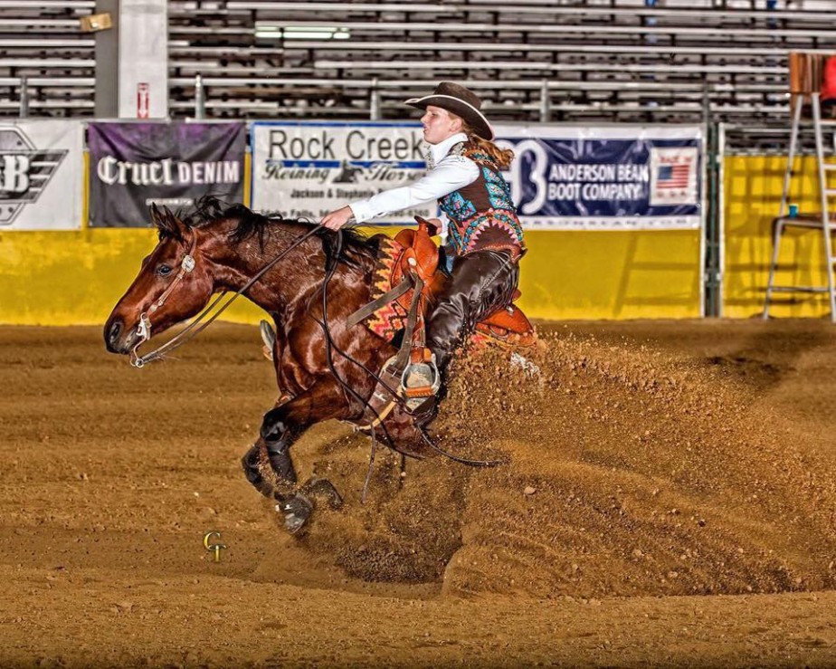 half arabian reining horse