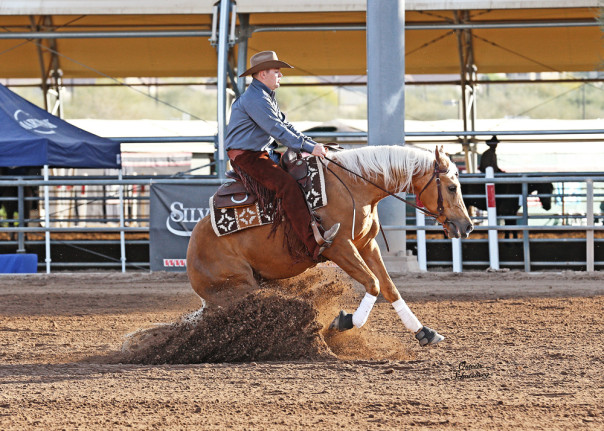 half arabian reining horse