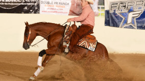 half arabian reining horse for sale