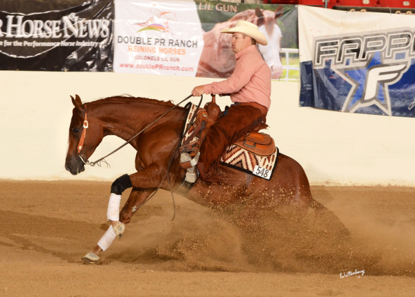 half arabian reining horse for sale