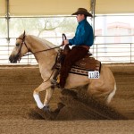 half arabian reining futurity