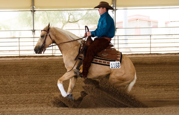 half arabian reining futurity