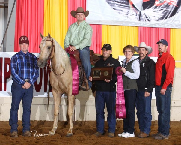 half arab futurity