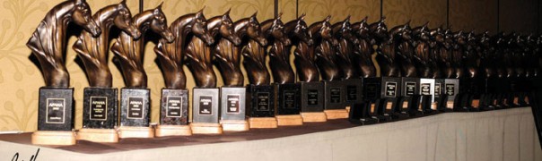 APAHA horsemanship awards