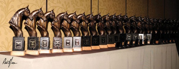 APAHA horsemanship awards