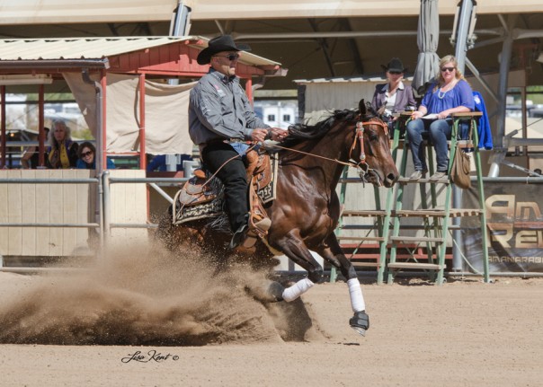 half arab reining futurity